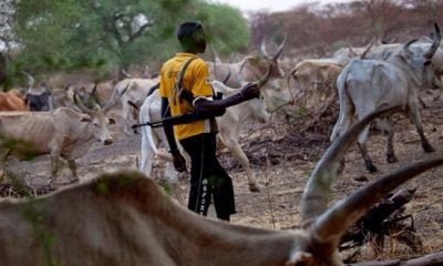Suspected Herder With AK 47 Arrested In Ogun