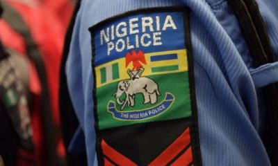 38 Kidnappers, Shila Boys, Others Paraded By Police In Adamawa