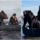 Fearless Lady Goes Fishing In A Tiny Boat With Giant Brown Bear