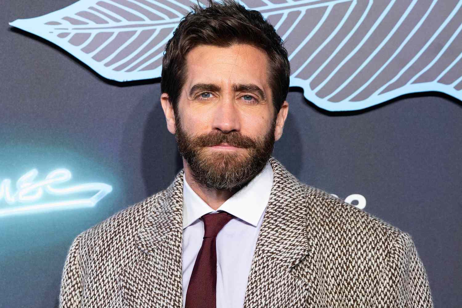 Jake Gyllenhaal - attractive male actors