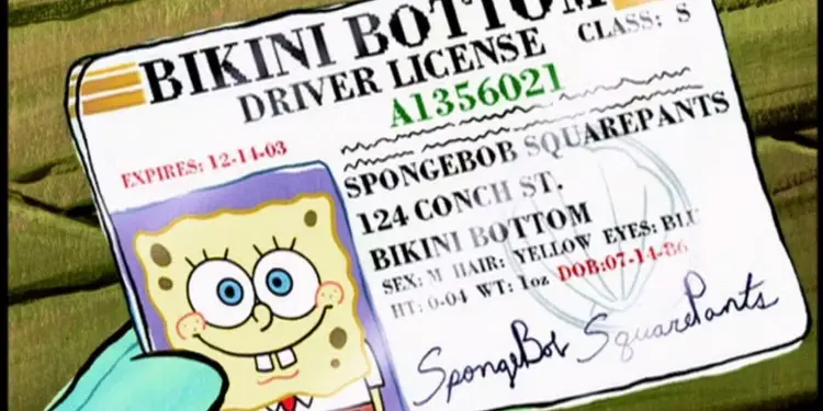 SpongeBob SquarePants drivers license