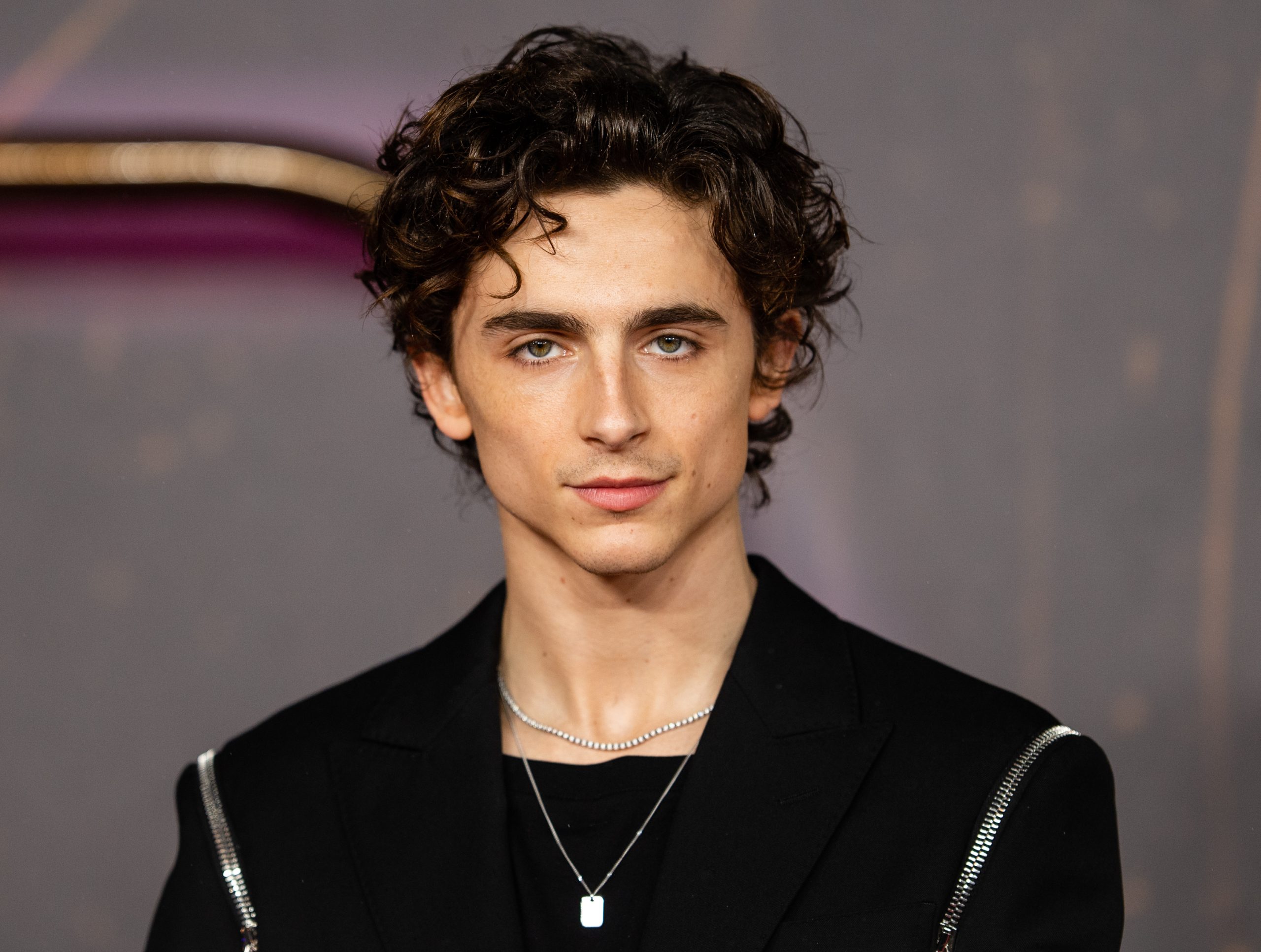 Timothée Chalamet - hottest male actor