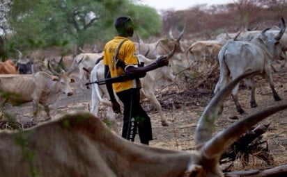 A Fulani herdsman