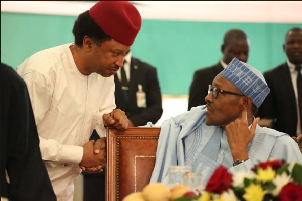 Shehu Sani Slams Buhari For Retaining Failed Appointees