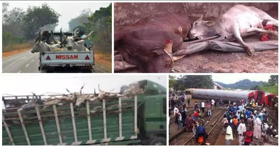 15 people dead after truck transporting cows, passengers plunged into river