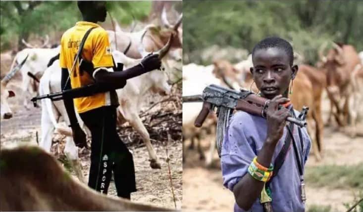 Fulani Herdsmen Hit Benue State Again, Kills Village Head