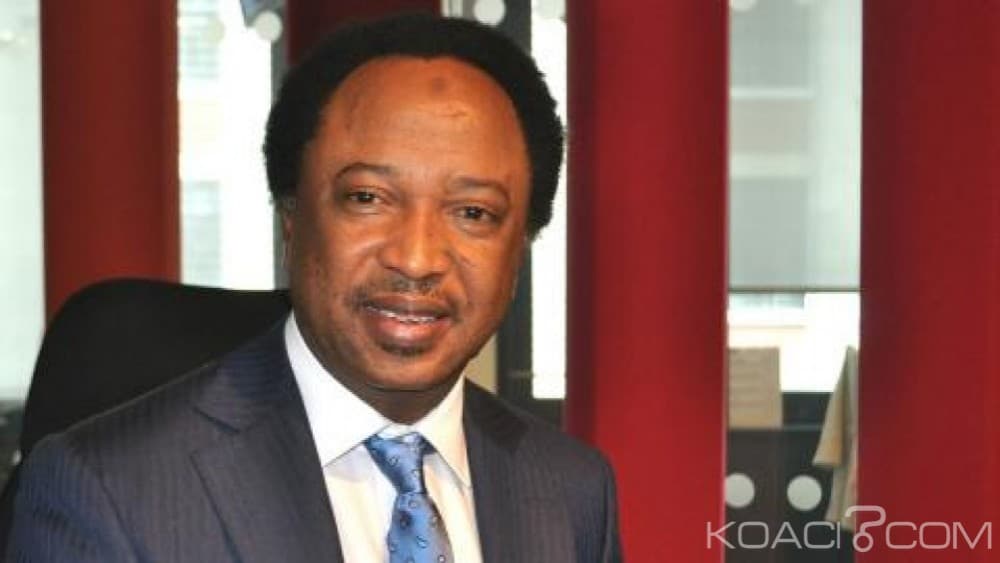 Shehu Sani reacts to Jolly Nyame's judgement