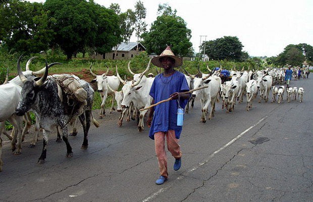 Edo State Bans Herdsmen For 90 Days