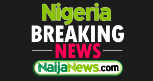 Nigeria Breaking News Today,, Nigeria Breaking News ,Breaking News ,Naija News ,Nigeria News,Nigeriabreaking news today, Latest Nigeria news, Latest Nigeria Newspapers, Naija News, Nigeria breaking news, Nigeria News, Nigeria news today, nigeria news today headlines, nigeria newspapers today, News, breaking news today, Latest Nigeria news, Latest Nigeria Newspapers, Naija News, Nigeria breaking news, Nigeria News, Nigeria news today, nigeria news today headlines, nigeria newspapers today, Nigerian Newspapersn News,