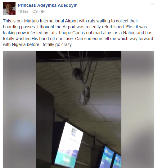Rats Swinging on Electric cables at the Muritala Muhammed Airport