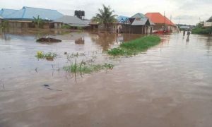 25 Killed, 20 Injured In Bauchi Flood
