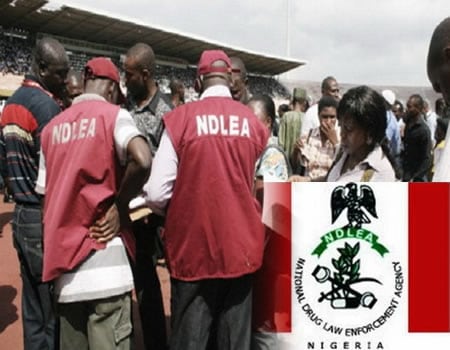 10 Suspected Drug Dealers Arrests by NDLEA  In Gombe State