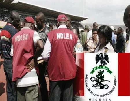 JUST IN: NDLEA Declares Lagos Socialite Wanted Over Alleged Trafficking Of Illicit Drugs