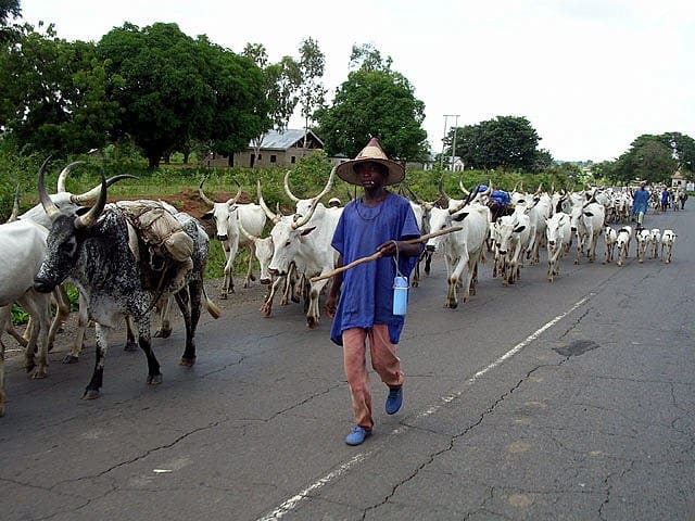 Danladi Chiroma reveals that Fulani herdsmen's killings could be a retaliation.