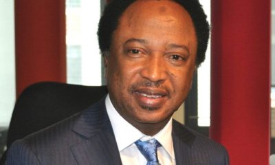 Shehu Sani Reacts As Buhari Govt Set To Ban Ponmo