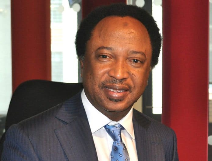 I Won't Be Party To Any Plot To Impeach Saraki - Shehu Sani