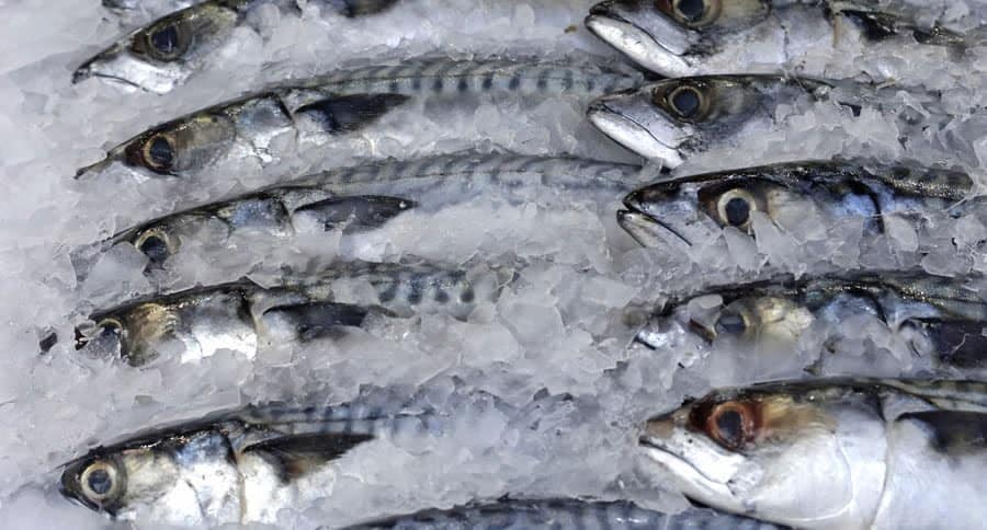 NAFDAC denies presence of plastic fish in Nigeria