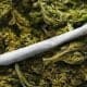 NDLEA moves against cultivation of Indian hemp