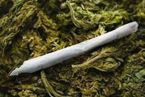 Court jails applicant for smoking Indian hemp in the market