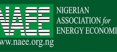 Nigeria Is Still Living In Abject Energy Poverty - NAEE