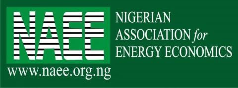 Nigeria  Is Still Living In Abject Energy Poverty - NAEE