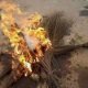 APC Lawmaker Burns Broom As He Decamps To PDP