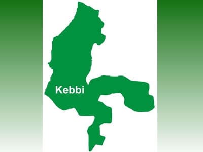 Kebbi LG chairman resigns amid speculations