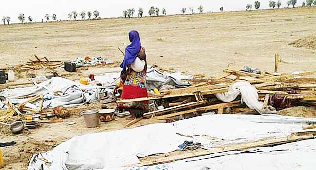 19 Injured As Windstorm Destroys IDP Shelters In Borno