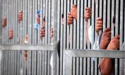 1,000 Ethiopian Prisoners Released From Saudi Arabia