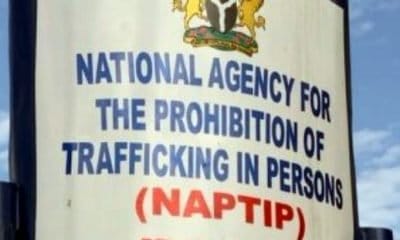 NAPTIP Decry Huge Trafficking Of Benue Girls Into Sex Slavery In West African Countries