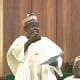 After Dumping APC, Kazaure Declares Unwavering Loyalty To Buhari