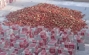 Army impounds 3 truckloads of ammunition