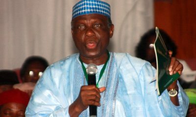 Tinubu: INEC Did Not Give Nigerians Leaders Of Their Choice - Jerry Gana