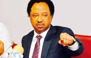 No Need To Threaten Kukah – Shehu Sani Tells Islamic Group