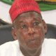 Miyetti Allah Tackles Ganduje Over Planned Relocation Of Herdsmen