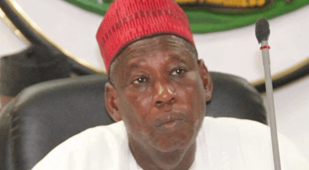 Miyetti Allah Tackles Ganduje Over Planned Relocation Of Herdsmen