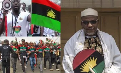 Anambra 2021: IPOB Distances Self From Call For Governorship Election Boycott