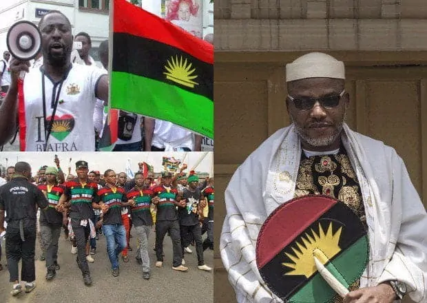 Anambra 2021: IPOB Distances Self From Call For Governorship Election Boycott