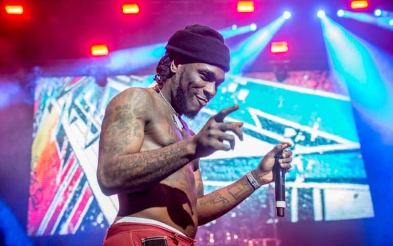 Image result for burna boy african giant