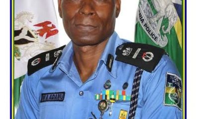Check Out Profile Of New IGP, Adamu Mohammed