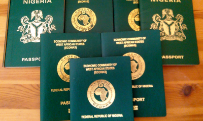 New Nigerian Passport For All Categories