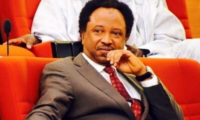 NYSC Has Not United Nigeria - Shehu Sani Tackles Scheme's DG