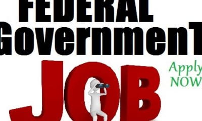 How To Apply For Latest Federal Government Job Recruitment