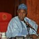 Security Agents Not Enough, Nigerians Should Get Guns And Defend Themselves - Gov Masari