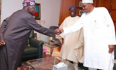 What Buhari Told Me When I Asked Him If He Told Osinbajo To Contest Against Tinubu - Bisi Akande