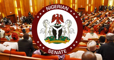 Senate Confirms Professor Ayo Omotayo As New DG For NIPSS