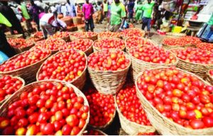 Nigerians Groan As Beans, Tomatoes, Yam Record 40% Price Hike