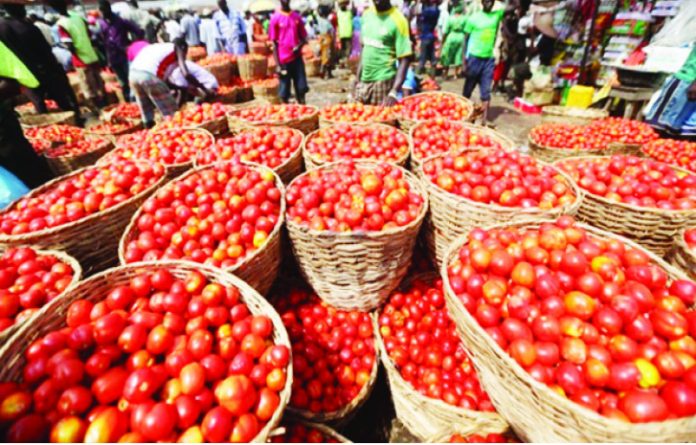 Nigerians Groan As Beans, Tomatoes, Yam Record 40% Price Hike