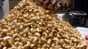 Cashew Farmers Accuse Kogi Govt Of Multiple Taxation