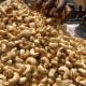 Cashew Farmers Accuse Kogi Govt Of Multiple Taxation